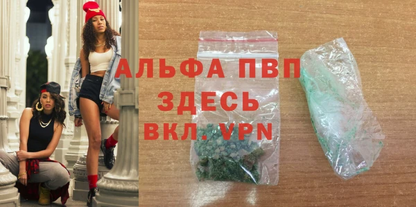 прущие грибы Краснослободск