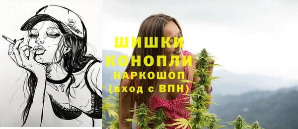 прущие грибы Краснослободск