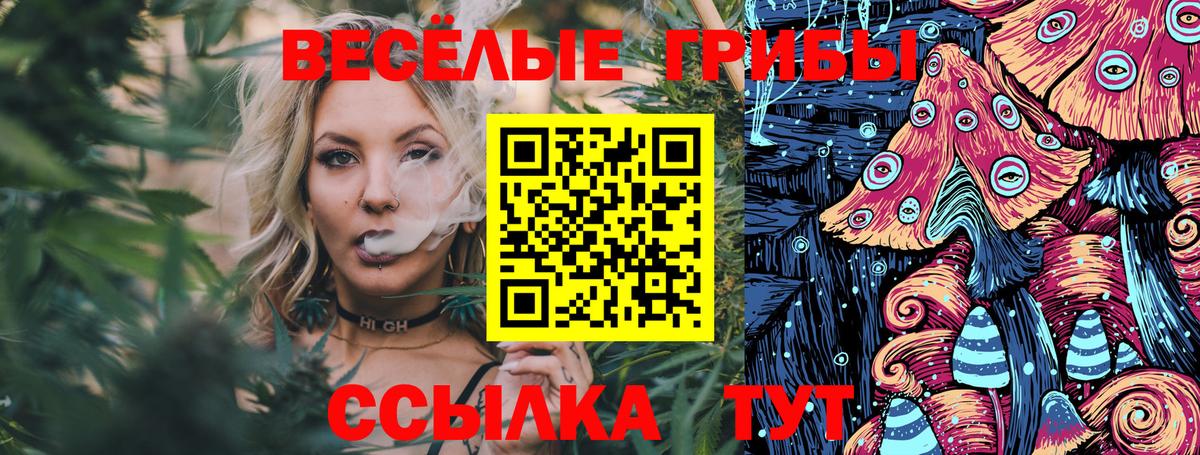 Морозовск  Галлюциногенные грибы MAGIC MUSHROOMS  Вход с VPN 