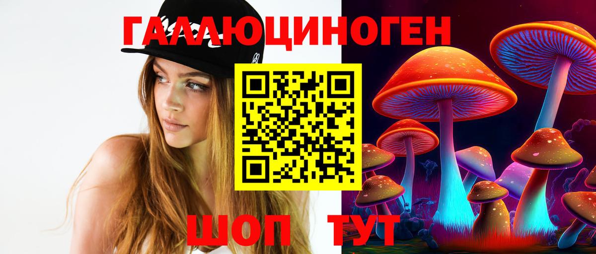 Галлюциногенные грибы Cubensis Морозовск
